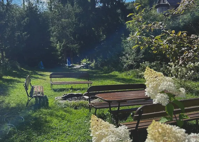 Проживание в семье Stara