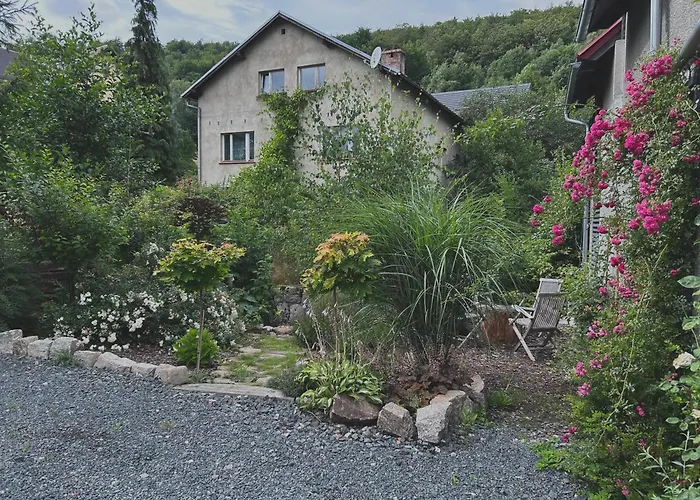 Проживание в семье Stara