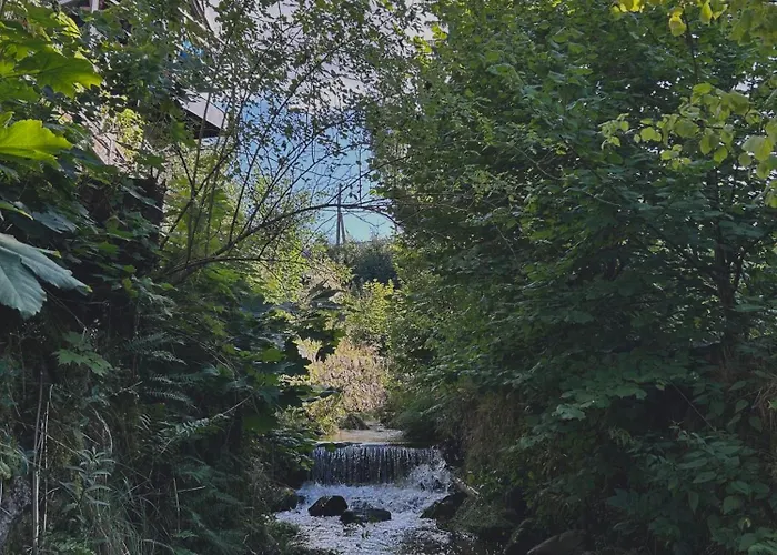 Проживание в семье Stara *