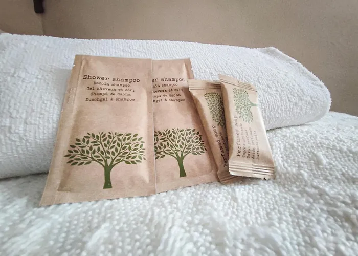 Проживание в семье Stara *